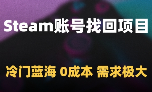Steam账号找回项目，冷门蓝海，0成本，需求极大-大可网创