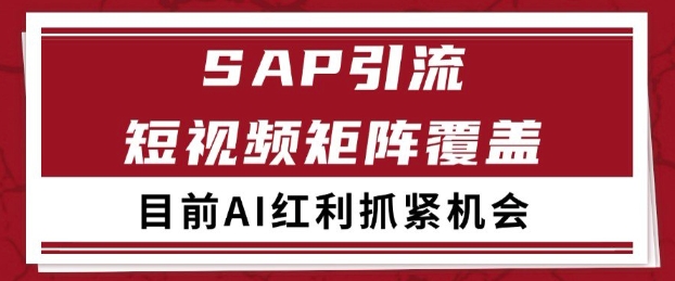 小红书某音sap赛道引流获客 自热矩阵日引200+【揭秘】-大可网创