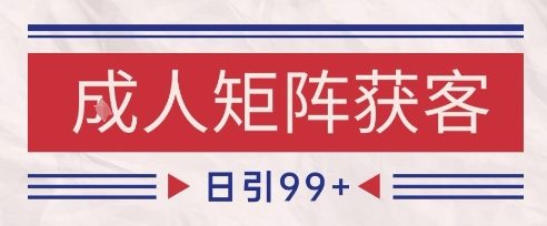 小红书某音橙人赛道引流获客，自热矩阵日引200+【揭秘】-大可网创