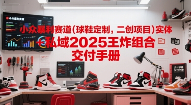 小众暴利赛道(球鞋定制，二创项目)实体+私域2025王炸组合  交付手册-大可网创