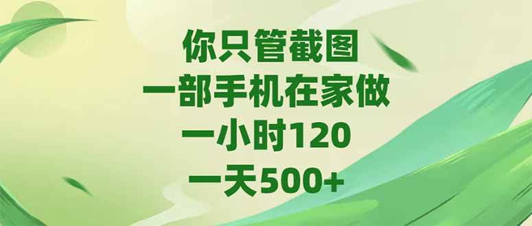 （15039期）你只管截图，一部手机在家做，一小时120，-天500+-大可网创