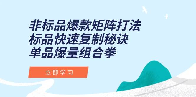 （15068期）非标品爆款矩阵打法，标品快速复制秘诀，单品爆量组合拳-大可网创