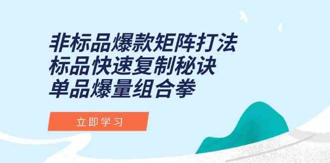 非标品爆款矩阵打法，标品快速复制秘诀，单品爆量组合拳-大可网创