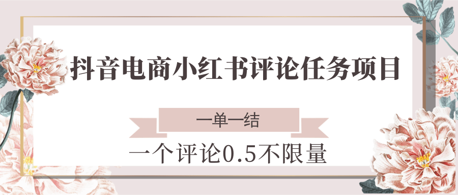 抖音电商小红书评论任务项目，一个评论0.5，一单一结 不限量-大可网创
