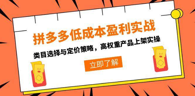 （15143期）拼多多低成本盈利实战，类目选择与定价策略，高权重产品上架实操-大可网创