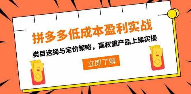 拼多多低成本盈利实战，类目选择与定价策略，高权重产品上架实操-大可网创