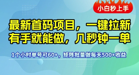 最新首码项目，一键拉新有手就能做，几秒钟一单，1个小时单号可60+，矩阵批量做每天5张【揭秘】-大可网创