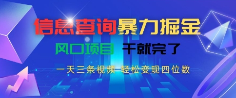 信息查询暴力掘金，一天三条视频，轻松变现四位数，风口项目干就完了【揭秘】-大可网创