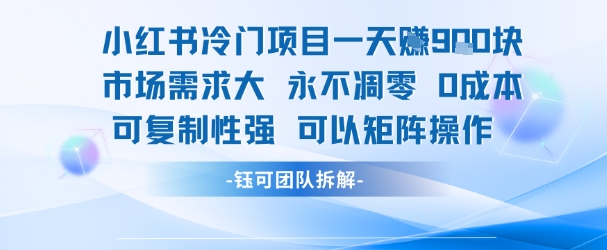 小红书冷门项目一天收益9张，市场需求大，0成本，可复制性强可以矩阵操作-大可网创