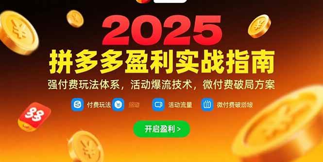 （15357期）拼多多盈利实战指南，强付费玩法，活动爆流技术，微付费破局方案(更新7月)-大可网创