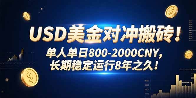 （15551期）USD美金对冲搬砖!单人单日800-2000CNY，长期稳定运行8年之久!-大可网创