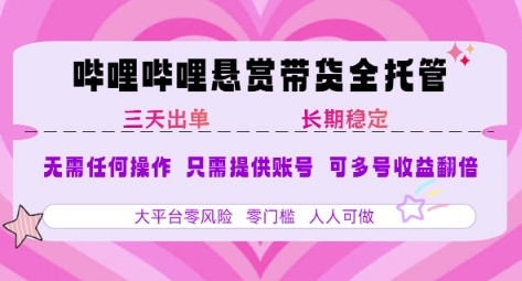 2025年B站风口带货项目 仅需提供账号 全程托管 轻松月入1w+-大可网创