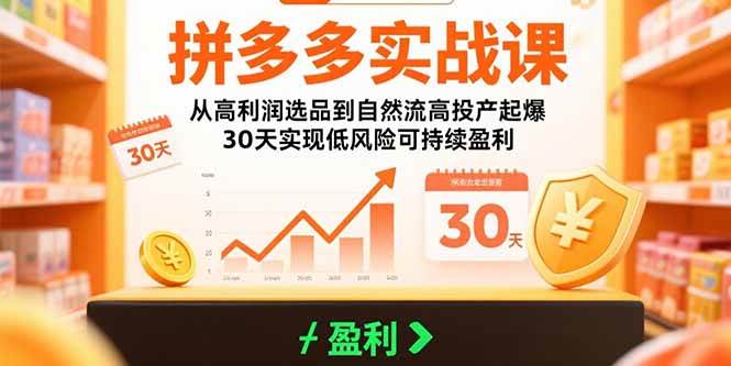 （15586期）拼多多实战课：从高利润选品到自然流高投产起爆 30天实现低风险可持续盈利-大可网创