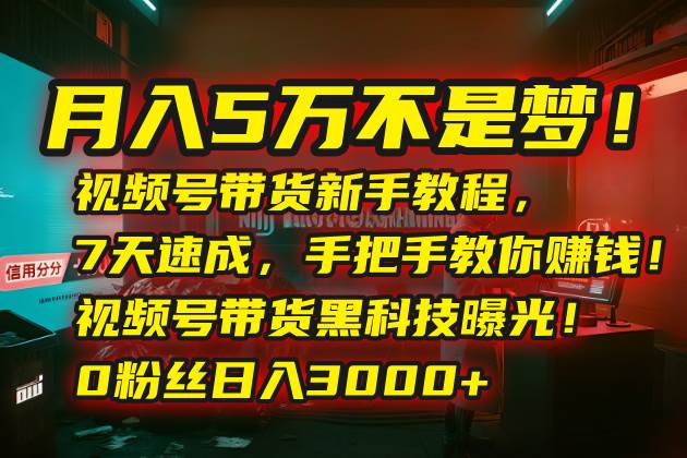 （15595期）月入5万不是梦！视频号带货新手教程，7天速成，手把手教你赚钱！视频号…-大可网创