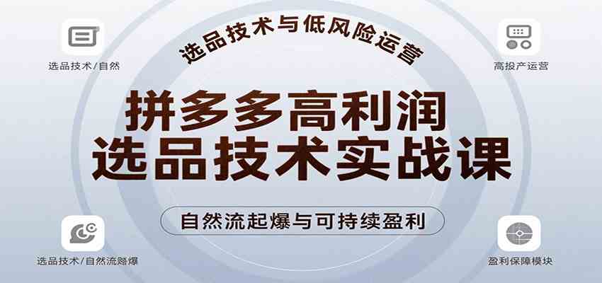 拼多多高利润选品技术实战课，手把手教学自然流高投产起爆，实现低风险可持续盈利-大可网创