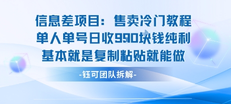 信息差项目：售卖冷门教程单人单号日收9张纯利基本就是复制粘贴就能做-大可网创