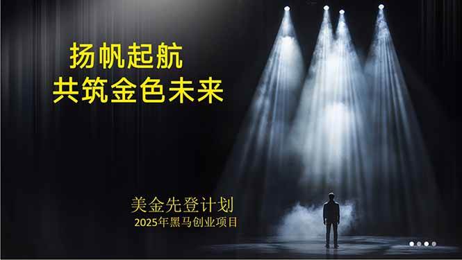 （15748期）美金对冲创业项目，日收益1000-3000，小众暴力项目稳定运行8年-大可网创