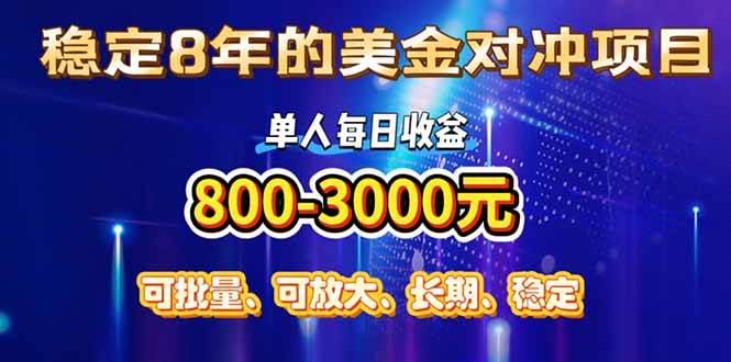 （15782期）稳定8年的美金对冲创业项目，单人每日收益800-3000，小众暴力项目-大可网创