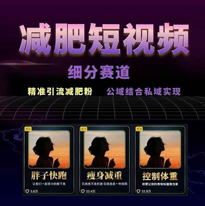 图片[2]-减肥短视频运营实战课：含素材制作、剪映教学，讲精准引流、变现设计与内容模板技巧-大可网创
