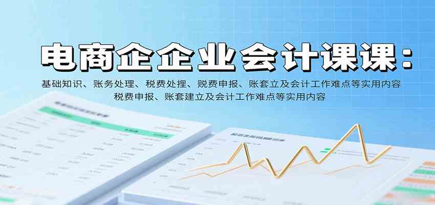 电商企业会计课：基础知识、账务处理、税费申报、账套建立及会计工作难点等实用内容-大可网创