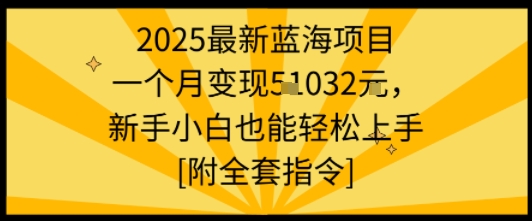 2025最新蓝海项目一个月变现1w+新手小白也能轻松上手【附全套指令】-大可网创