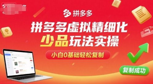 拼多多虚拟精细化少品玩法实操，小白0基础轻松复制-大可网创