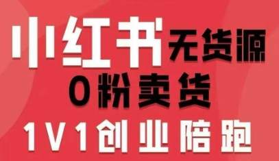 小红书无货源0粉电商课，开店准备、选品策略、笔记撰写、视频剪辑、数据分析、账号打造、资料文档-大可网创