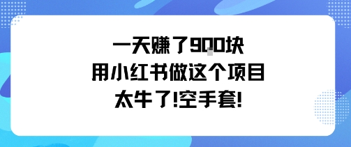 一天挣了9张用小红书做这个项目太牛了，空手套-大可网创